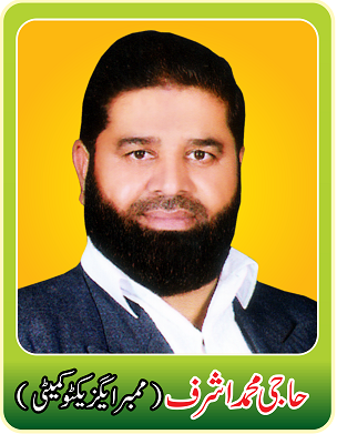 member